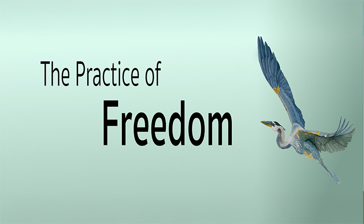The June theme is "The Practice of Freedom"